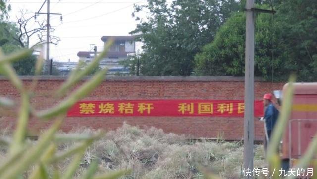 农民注意，这4件事最好别再触犯了，不然的话村干部也帮不了你