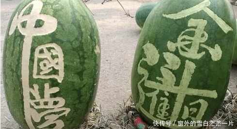 老汉西瓜卖不出去堆积成山，可听了他儿子意见后，西瓜却被抢空了