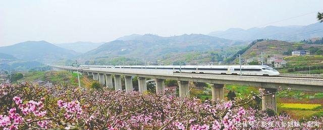 「成都东进」成渝高铁中线·过境简阳、乐至、安岳