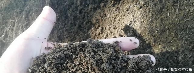  蚯蚓粪有机肥@蚯蚓循环有机养殖，最全面的分析，果断收藏