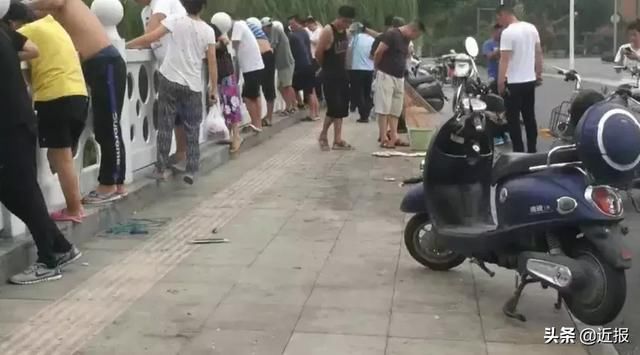  「惊现」奇闻！小清河惊现“鱼山鱼海”“万鱼奔腾”场面