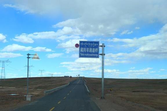 青藏线归来的感受：少自驾，命重要