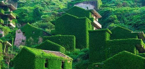 这才是人类消失后的真实世界,和你在电影里看到的完全不一样!