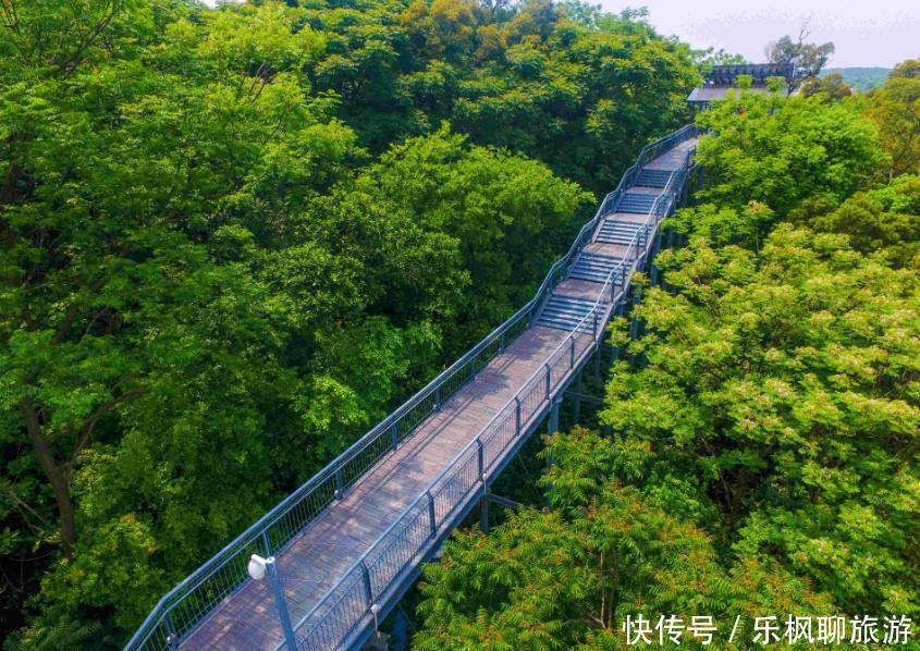 广东正在修建一条地铁，设立41个站点，加强广佛肇城市一体化发展