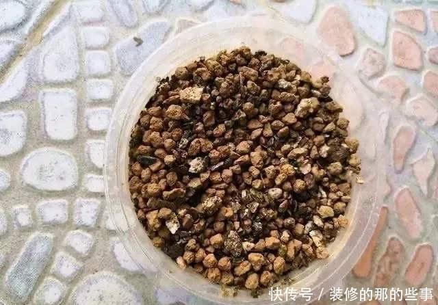 『沙子』家庭养花,2个“小妙招”,几十盆花都养得好好的,叶翠绿花儿美