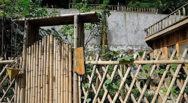  「小院」理想中的乡村小院