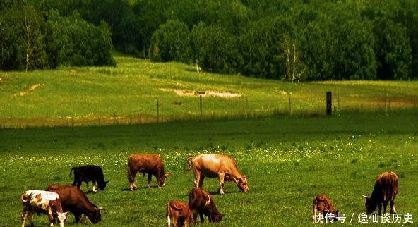 大美河北清朝著名的皇帝狩猎之所,带你重走皇帝之路