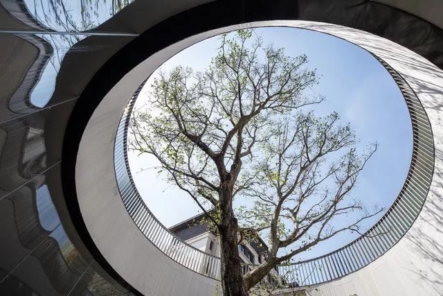 万有引力:光、空气、水,温润质朴的和谐之音