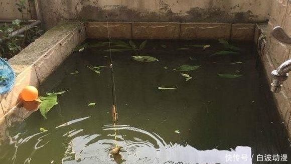 #家宅#在家宅了12天,这群钓鱼人也待不住了,花式钓鱼谁更强