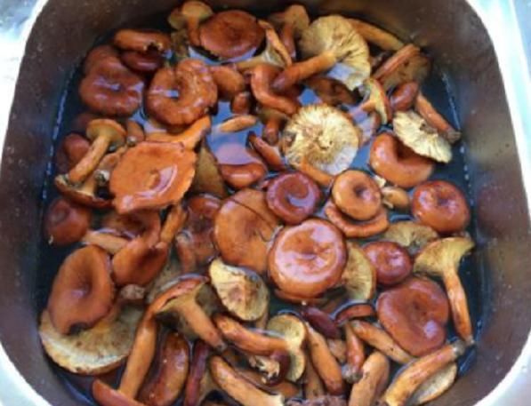  #野味#山林中才有的野味，过去农民怕有毒不敢摘，如今一斤能卖5