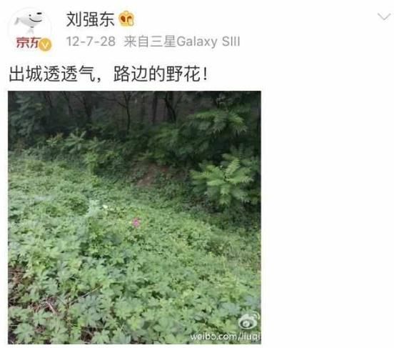 奶茶妹妹果真成抹茶妹妹？刘强东曾删除的微博早就揭露事实