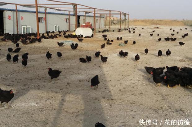 国内最偏僻的村庄,在沙漠的深处,网友:不好找也不敢去