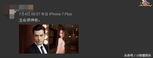 倪妮井柏然分手怎么还扯上了胡歌？女方否认：纯属造谣！