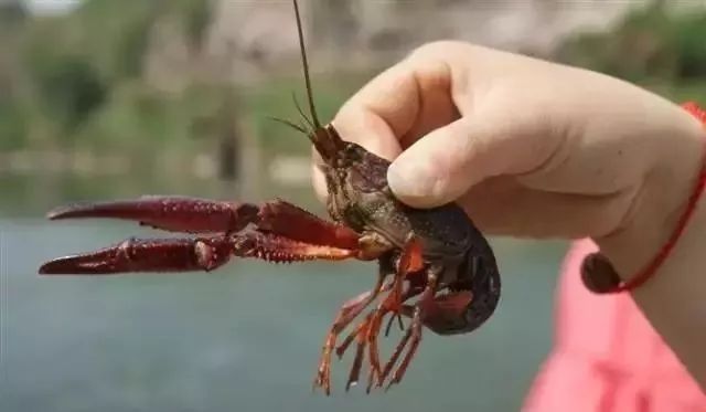 你家一亩地居然值200万！快看看，不知道可就亏大了......