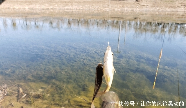 『出钓』人间芳菲四月天,野钓莫忘要防晒!出钓两天四个月的美白成泡影!