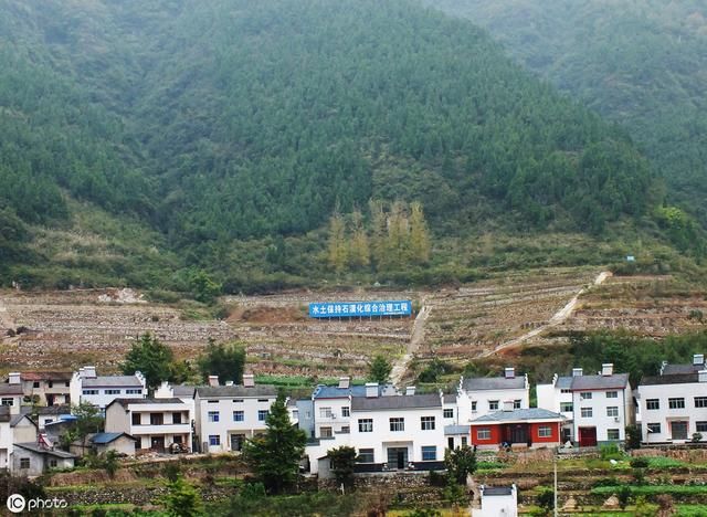 为什么农村实行一户一宅，城市就可以一户多宅？看看专家怎么说