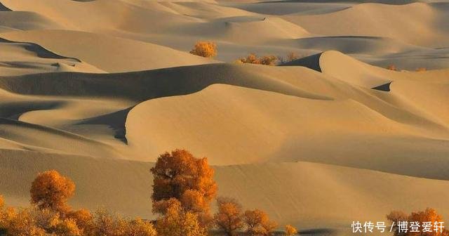 国家在塔克拉玛干沙漠，投资几亿种下大量植物，结果却非常意外