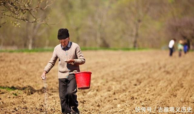  「种植」农村怪事种粮不赚钱，荒着会收回，土地流转却不愿意，为什么