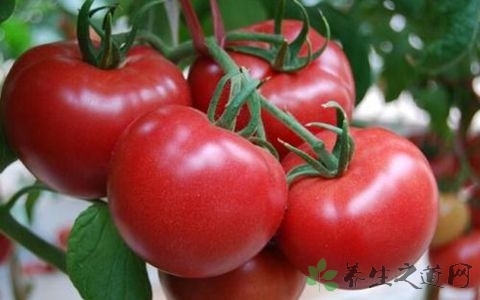 夏天游泳如何防晒