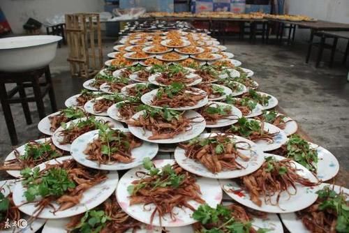 农村又一怪象出现！严重影响农村风气，老农表示也很无奈