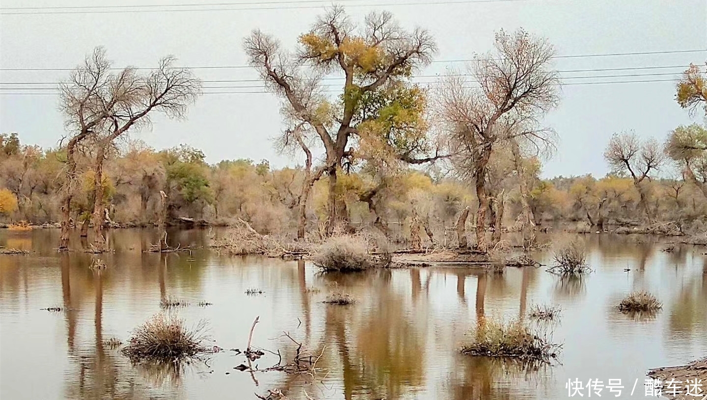 在330000平方公里的塔克拉玛干沙漠中,任裙飘扬,随风起舞