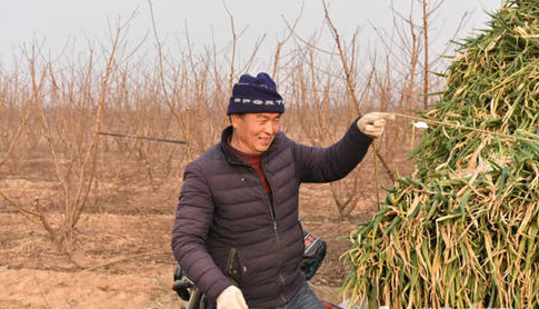  大哥@“种地靠运气”，50岁农民大哥包30亩滩涂地，你猜他今年运