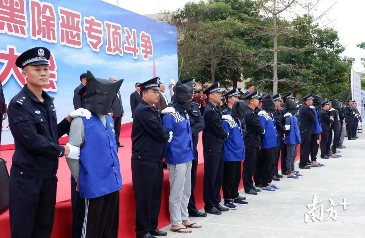  [纵深]电白：奋力把扫黑除恶专项斗争向纵深推进