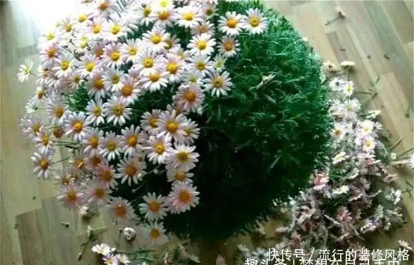  『剪枝』4种盆栽花，“剪枝越狠”开花越容易爆，家里有的话现在就剪