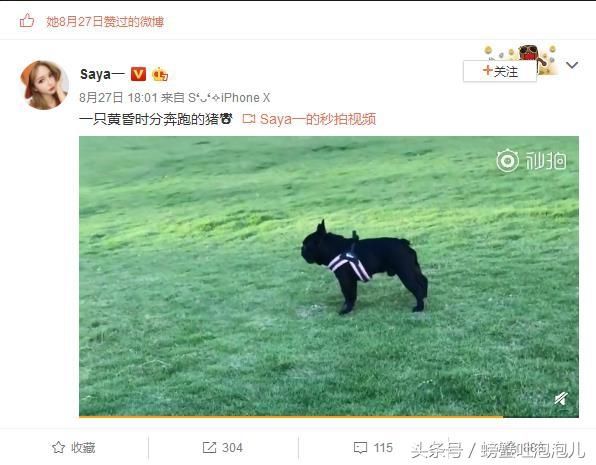 网红踢打孕妇致高危，网红追求公众效应，却不愿带起正能量的标签