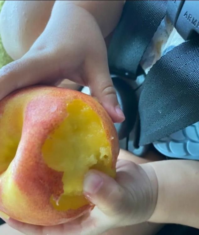  【情敌】张歆艺黑娃乐此不疲袁弘的情敌就是开心果，妖娆发型确实感人