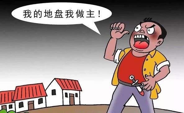  黑恶势力：国家对“黑恶势力”零容忍，农民身边明明有村霸，为