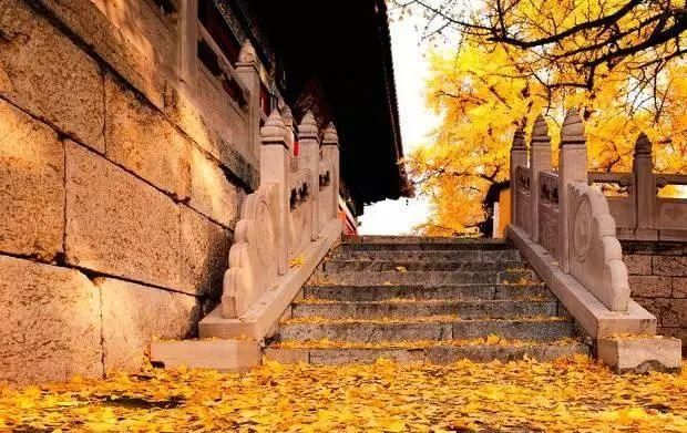 秋日里，山西20处绝美赏秋胜地美的像仙境