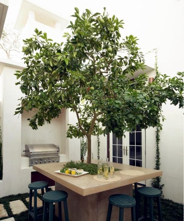  【美滋滋】不羡慕城里大露台，老家盖个房，还带个大院子，生活