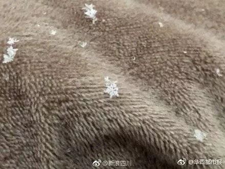 成都出大太阳，必须晒！接下来还有4次降温，大家挺住！