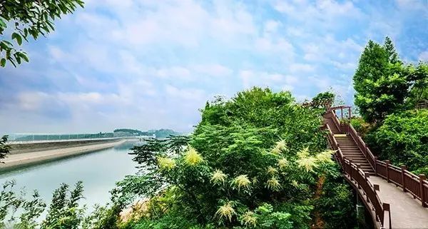 『美景』绵阳初夏最美的摄影美景地,竟然藏在这里
