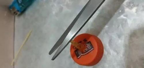  [下次]不起眼的塑料瓶，养花的神器，什么都能干，下次可不要丢了