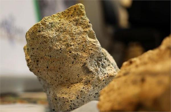 经济学人全球头条：首次发现蛇琥珀，马化腾辟谣，中兴连拿5亿订