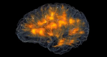 这些“育儿谣言”疯传几十年,骗家长花冤枉钱,害苦了孩子!