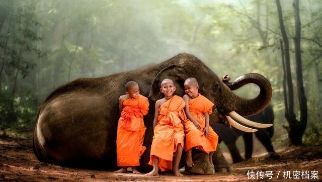 为什么去泰国旅游游客必须要带5000元现金?