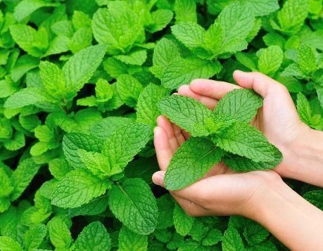 下巴紧绷后凸起的“白色米粒”，竟让我不敢抬头，清退只需2招