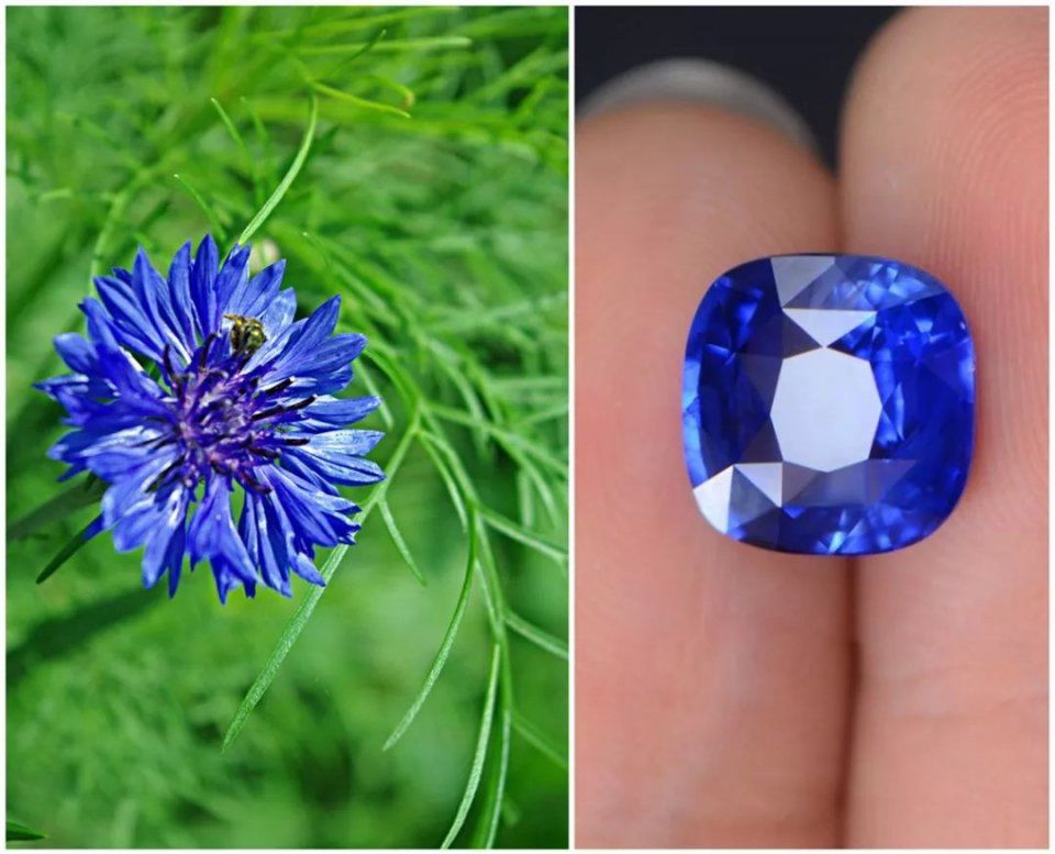 凯特王妃与丹麦王妃撞脸?二人似亲生姐妹，竟连珠宝品位都一样!