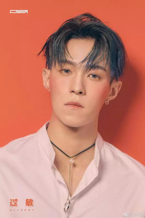 坤音四子“过敏脸”出道妆，这画风是致敬98年的王菲吗？