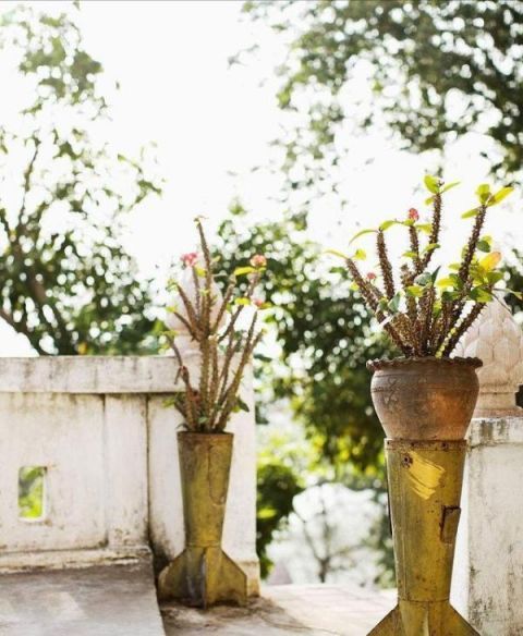 庭院不需太奢华，或一盆花，或一个老物件就能让庭院惬意起来