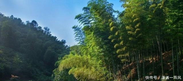 重庆被忽视的一处公园景点,是4A级景区,被打造成国家级森林公园