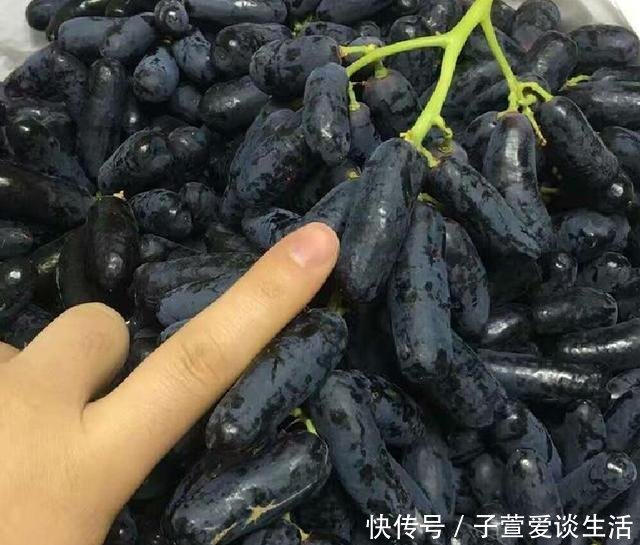 『吃饱』此水果可以盆栽种植, 丢土里就活, 年年开花结果, 1棵管全家吃饱