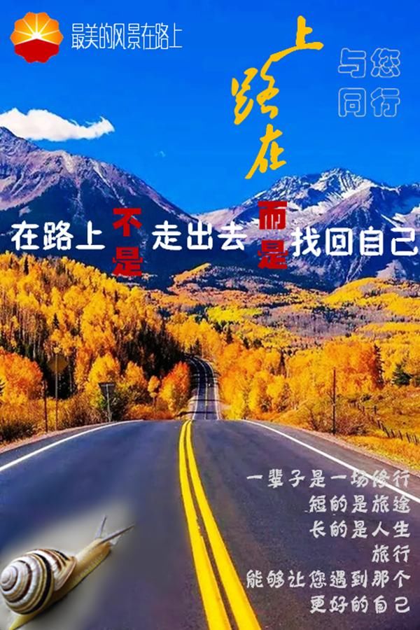 可可西里无人区  盐湖沙漠雅丹雪山湖泊草原原始风貌生机盎然