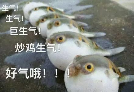  复颜抗皱紧■心机女孩带给妈妈的礼物 除了男朋友和康乃馨还有这些