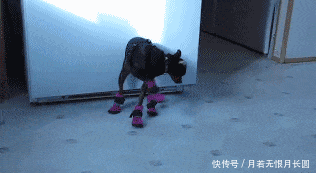  「GIF」GIF搞笑趣图：你玩这个多长时间了！我怎么不行啊！总是打到自己