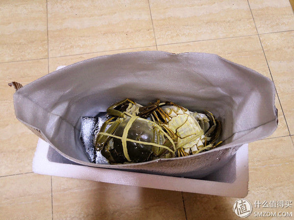 任你天花乱坠，简单一试，我就知道这大闸蟹值不值得吃!