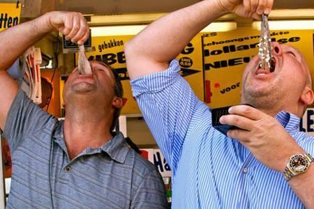 我在荷兰的恬淡生活经历，真实的荷兰到底啥样？看完令人发笑！